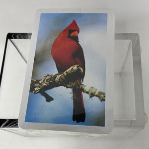 Pla-mor Playing Cards Birds Brand New