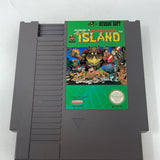 NES Adventure Island