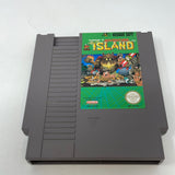 NES Adventure Island