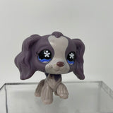 Littlest Pet Shop LPS #672 Cocker Spaniel Dog Purple With Flower Eyes