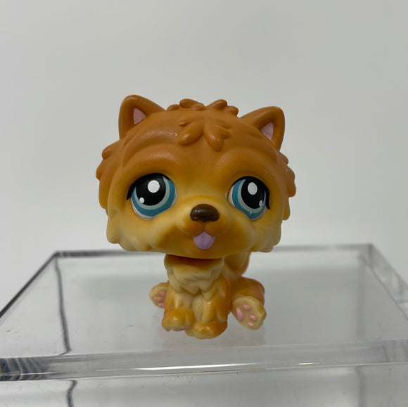 CHOW DOG #117 - Littlest Pet Shop - Hasbro LPS