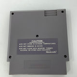 NES Pro Wrestling (5 Screw)