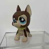 Littlest Pet Shop Chocolate Brown Great Dane #817