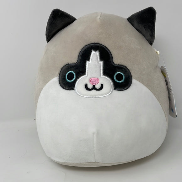 Squishmallow Nancy Rag Doll Cat 8 Plush Stuffed Animal Learning Expre –  shophobbymall