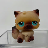 Littlest Pet Shop LPS #22 Mocha Tan PERSIAN Kitty Cat 2004 Red Magnet Aqua Eyes