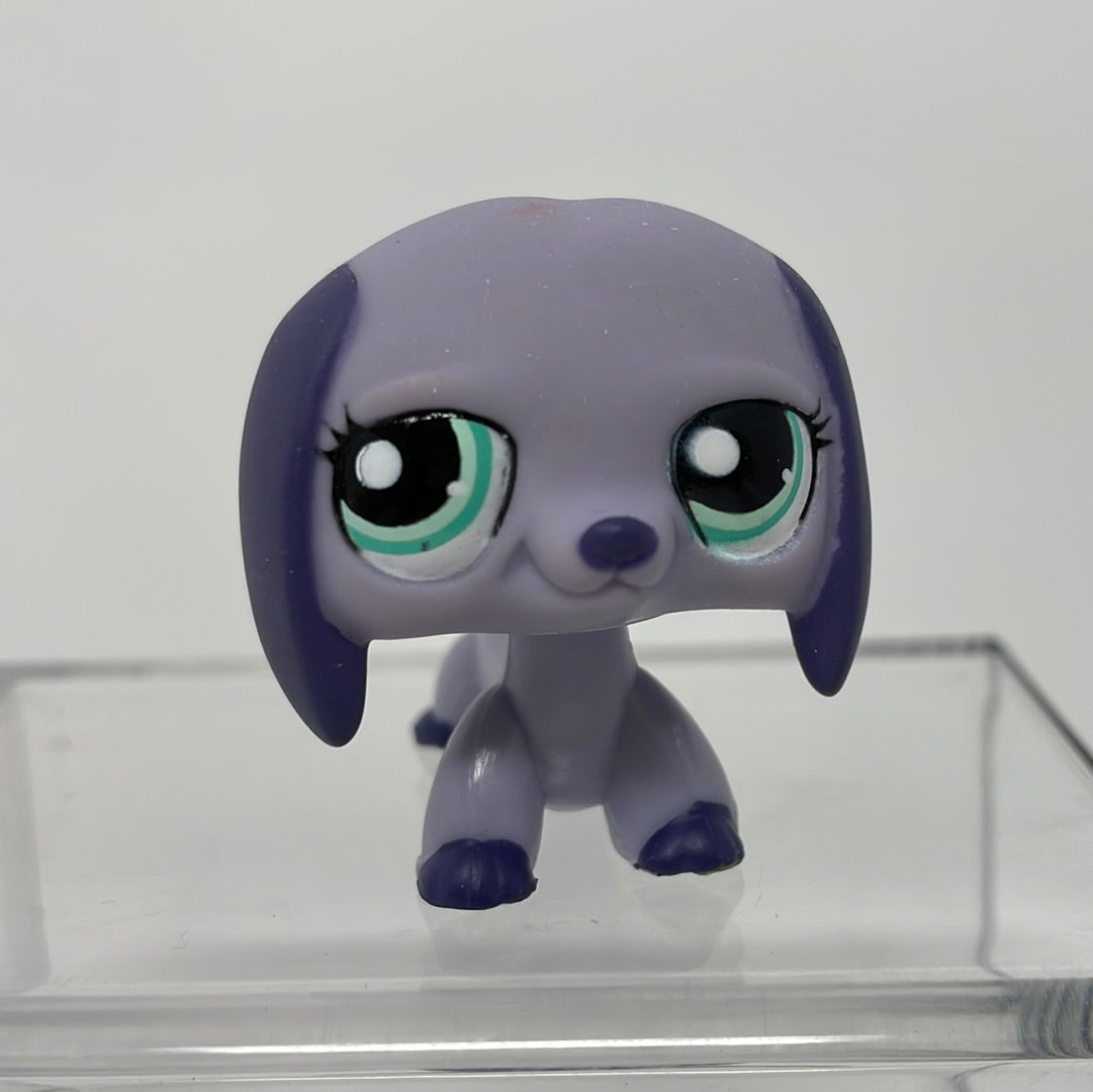 Littlest pet shop dachshund best sale