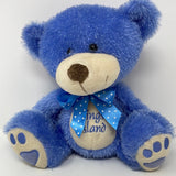 Blue Stuffed Teddy Bear Kings Island