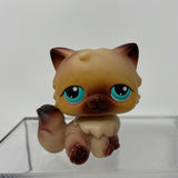 Littlest Pet Shop LPS #22 Mocha Tan PERSIAN Kitty Cat 2004 Red Magnet Aqua Eyes