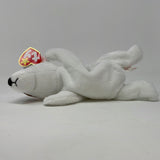 TY Beanie Baby - BUTCH the Terrier Dog (9 inch) -Stuffed Animal Toy