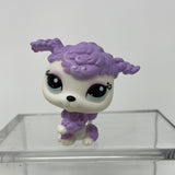 Littlest Pet Shop LPS Purple Poodle 1862