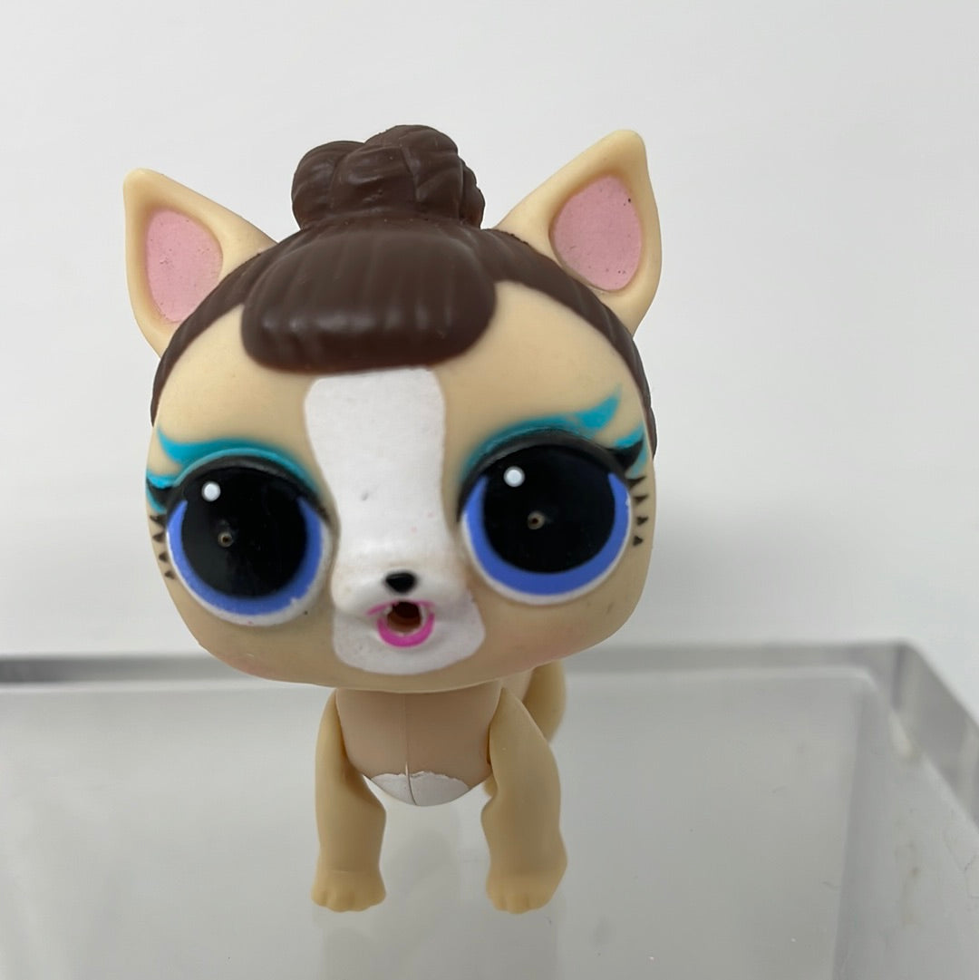Madame pup lol clearance